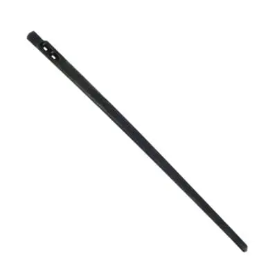 NEEDLES - TWO PRONG THONGING NEEDLE 10 PACK